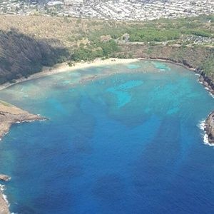 Meet your Posher, Austin